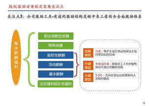 股权激励设计方案的起点是[设计股权激励方案的主要考虑因素]