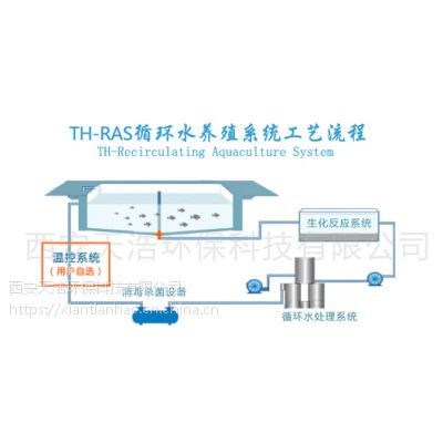 可循环设计方案[可循环设计方案怎么写]