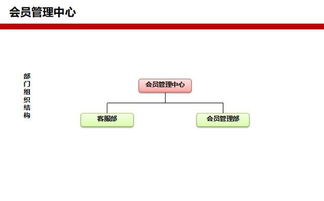 设计方案组织计划[设计组织计划工作的内容]