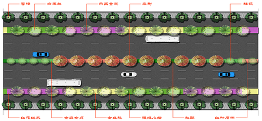 道路设计四,道路设计rte