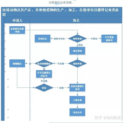 关务流程设计,关务策划方案