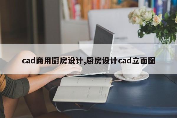 cad商用厨房设计,厨房设计cad立面图